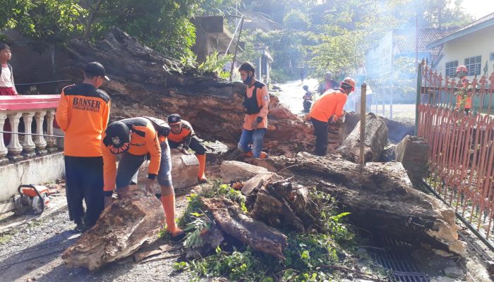 Pohon Roboh di dukuh Kemitir Kelurahan Bumirejo, Kebumen